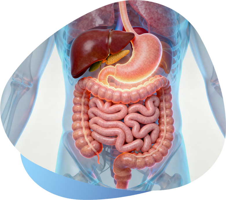 Gabinem - Gastroenterología