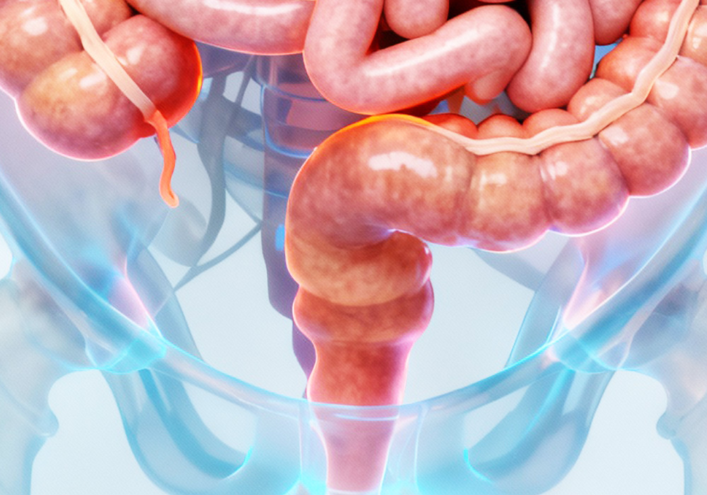 Gabinem - Motilidad Anorectal