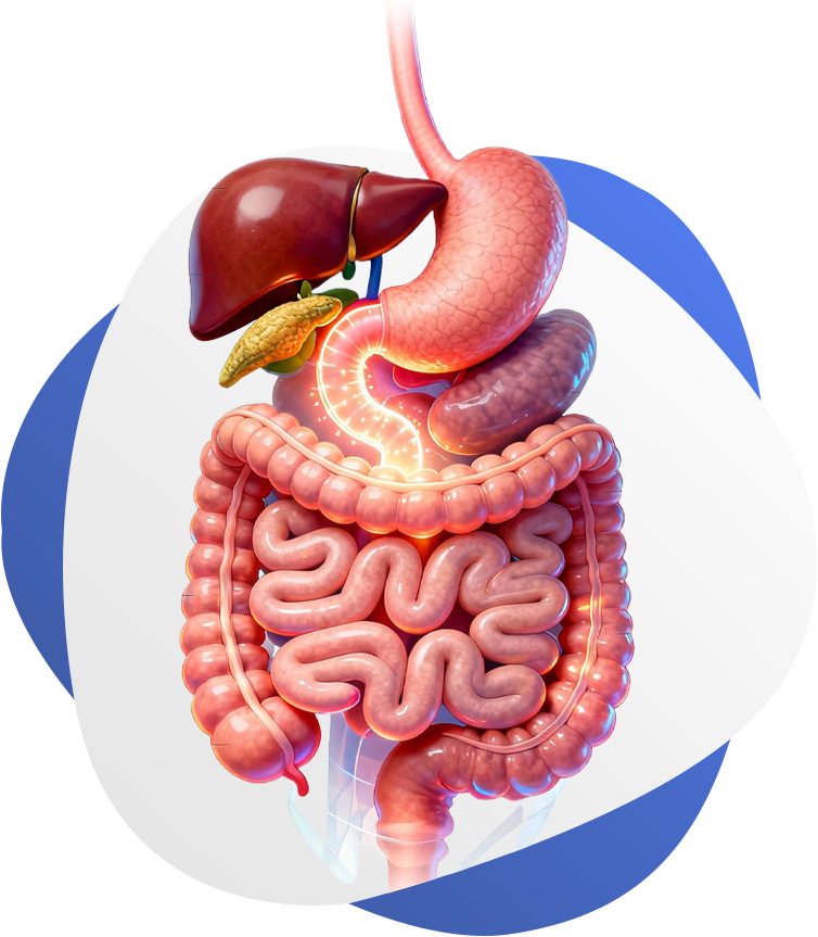 Gabinem - Motilidad - Portada - Banner