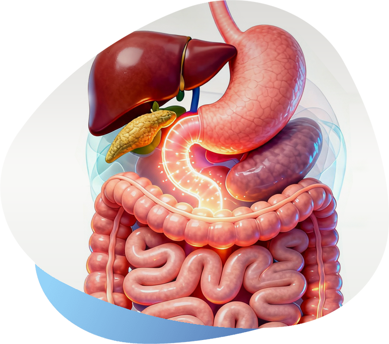 Gabinem - Motilidad_Gastrointestinal